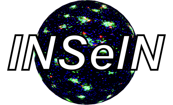Logo INSelN Logo INSelN