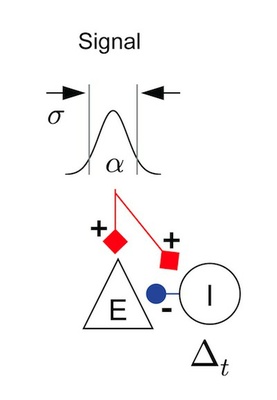 New publication by BCF members in the Journal of Computational Neuroscience New publication by BCF members in the Journal of Computational Neuroscience
