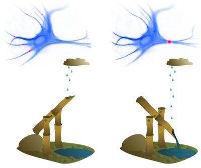 Article by BCF/RIKEN members published in PLoS Computational Biology Article by BCF/RIKEN members published in PLoS Computational Biology