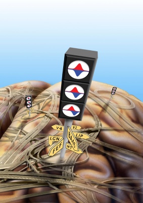 New article in the Journal of Neuroscience: Gating of signal propagation in spiking neural networks by balanced and correlated excitation and inhibition