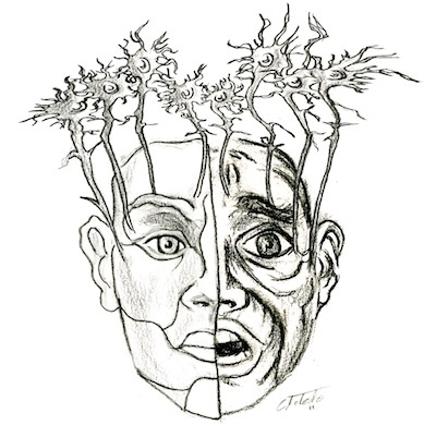 Masked fears: New article by BCF scientists in PLoS Computational Biology explains the origin of fear processes in the brain – and why it is so difficult to overcome them Masked fears: New article by BCF scientists in PLoS Computational Biology explains the origin of fear processes in the brain – and why it is so difficult to overcome them