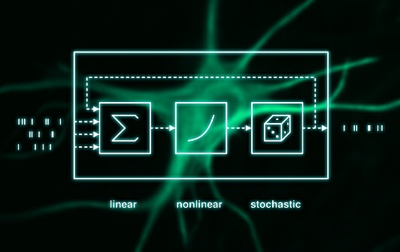 A powerful tool for the study of neuronal networks: Multiplicative point processes prove ideal to describe the dynamics of populations of neurons in fundamental brain research and engineering applications.