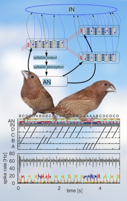 A model of song syntax generation in the Bengalese finch