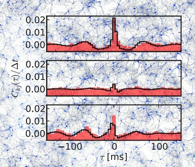 Why do neurons act in unison? : Putting a well-established idea to new use, scientists can match connection patterns to activity dynamics in networks of neurons. 