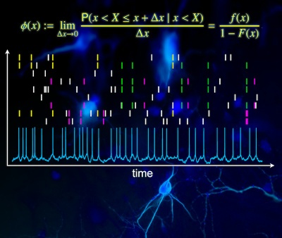 Finding the right measure: New study allows a more reliable measurement of neuronal interactions