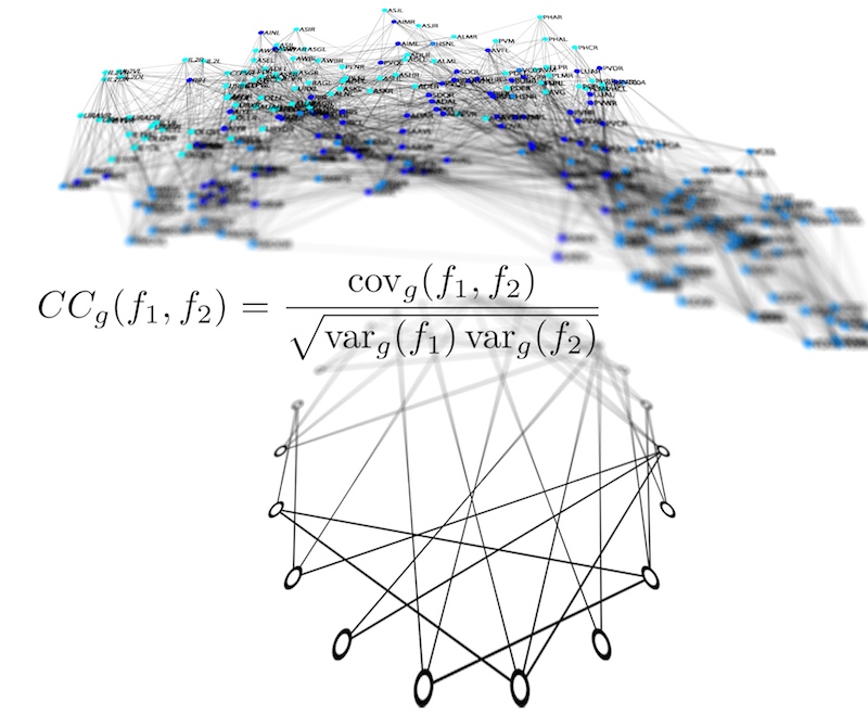 Understanding complex relationships: Scientists from Freiburg show how global properties of networks become apparent in local characteristics