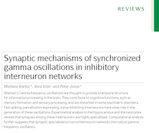 BCF members' review among top cited papers: In a publication analysis by the "Laborjournal", a review co-written by Marlene Bartos and Peter Jonas reaches 2nd place