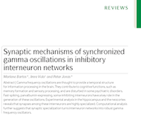 BCF members' review among top cited papers: In a publication analysis by the "Laborjournal", a review co-written by Marlene Bartos and Peter Jonas reaches 2nd place