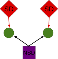 Perfect timing: Computer simulations help to disentangle different ways to drive brain cells