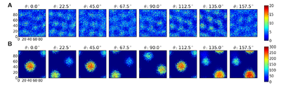 Heterogeneous networks underlie functional heterogeneity 