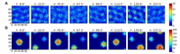 Heterogeneous networks underlie functional heterogeneity 