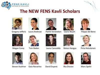 Putting young scientists in the driver's seat: Freiburg researcher Ilka Diester to become FENS-Kavli Scholar Putting young scientists in the driver's seat: Freiburg researcher Ilka Diester to become FENS-Kavli Scholar