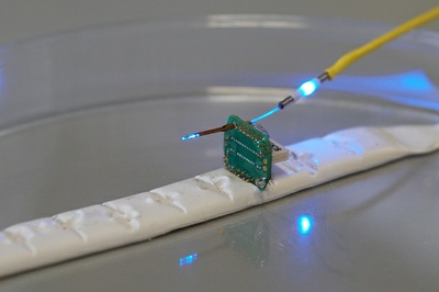 Neurotechnology on trial: Examining the usability of four implants for simultaneous recording and manipulation of neural circuits Neurotechnology on trial: Examining the usability of four implants for simultaneous recording and manipulation of neural circuits