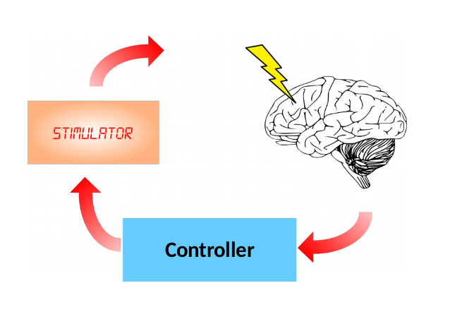 Artificial neural networks learn to control biological neuronal networks