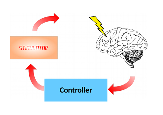 Controlling Biological Neuronal Networks with Reinforcement Learning