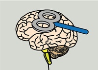 Non-invasive Assessment of Superficial and Deep Layer Circuits in Human Motor Cortex