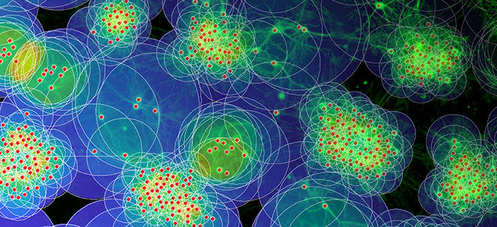 Growing and moving: How interactions between neuronal migration and outgrowth shape network architecture