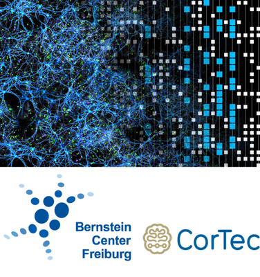 Bernstein-Cortec Award 2020 | Call for Nominations